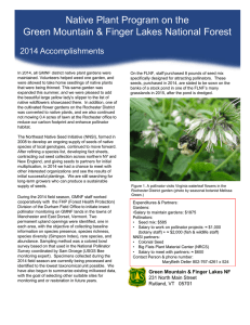 Native Plant Program on the Title text here