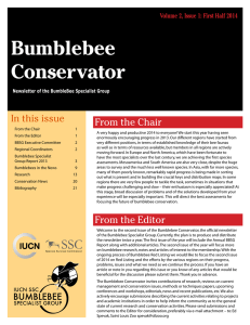 Bumblebee Conservator In this issue From the Chair