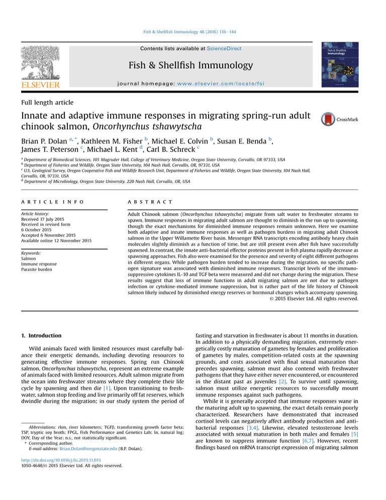 Innate And Adaptive Immune Responses In Migrating Spring-run Adult