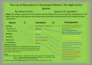 The Night of the Iguana By: Brittany Tennis