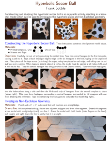 Hyperbolic Soccer Ball Frank Sottile