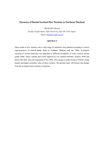 Dynamics of Rainfed Lowland Rice Varieties in Northeast Thailand