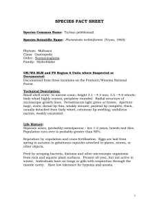SPECIES FACT SHEET