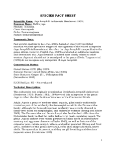 Dalles Juga Snail Fact Sheet: Conservation & Biology