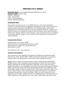 SPECIES FACT SHEET