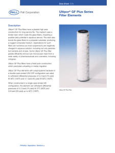 Ultipor GF Plus Series Filter Elements Description