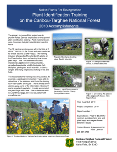 Title text here Plant Identification Training on the Caribou-Targhee National Forest 2010 Accomplishments