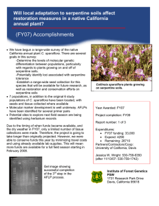 Will local adaptation to serpentine soils affect annual plant?
