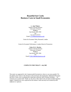 Beautiful but Costly Business Costs in Small Economies