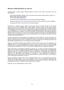 Nitrous oxide dynamics in sea ice