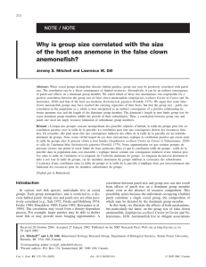Why is group size correlated with the size anemonefish? NOTE / NOTE