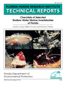Checklist Invertebrati Marini Florida: Specie Acque Basse
