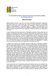 The International Barley Genome Sequencing Consortium (IBSC)   M