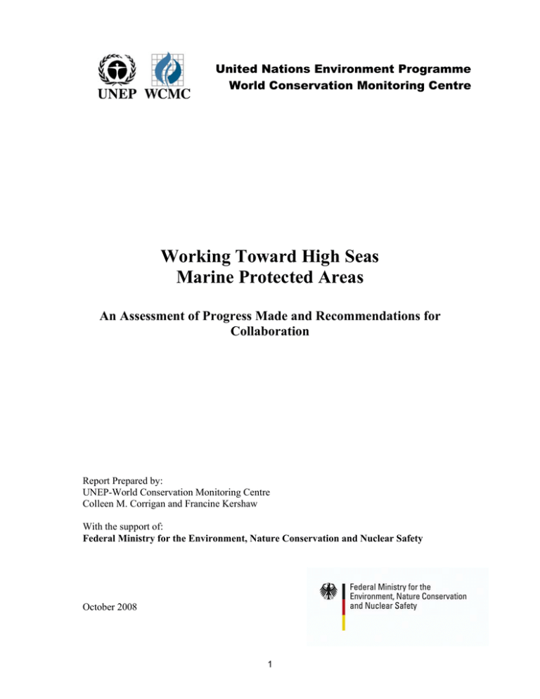 Working Toward High Seas Marine Protected Areas