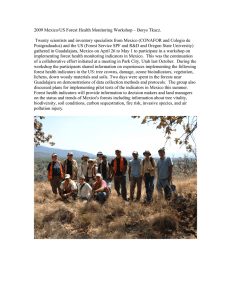 2009 Mexico/US Forest Health Monitoring Workshop – Borys Tkacz.