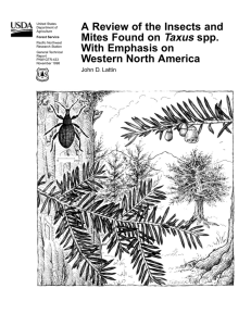 A Review of the Insects and Mites Found on Taxus spp.