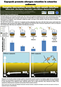 Copepods promote nitrogen retention in estuarine sediments