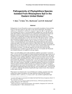 Phytophthora Isolated From Rhizosphere Soil in the Eastern United States