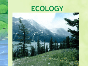 ECOLOGY