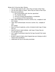 Botany Unit 2 Structure Quiz 1 Review