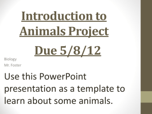 Introduction to Animals Project Due 5/8/12 Use this PowerPoint