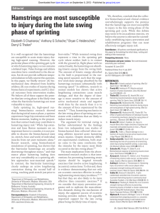 Hamstrings are most susceptible to injury during the late swing