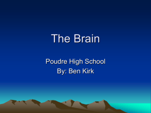 The Brain Poudre High School By: Ben Kirk