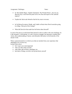 Assignment: Challenges  Name: