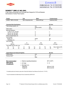 DOWEX SBR LC NG (OH) Anion Exchange Resin Datasheet