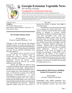 Georgia Extension Vegetable News Cooperative Extension Service The University of Georgia