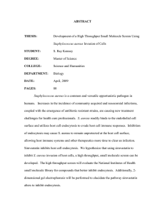 ABSTRACT  THESIS: STUDENT:
