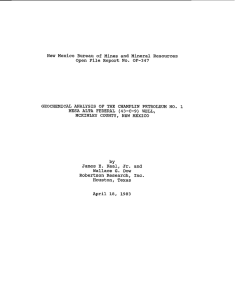 New  Mexico  Bureau Open  File  Report