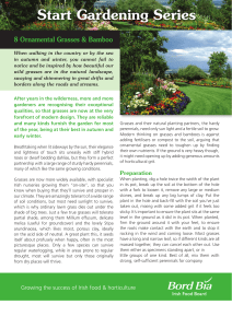 Start Gardening Series 8 Ornamental Grasses &amp; Bamboo