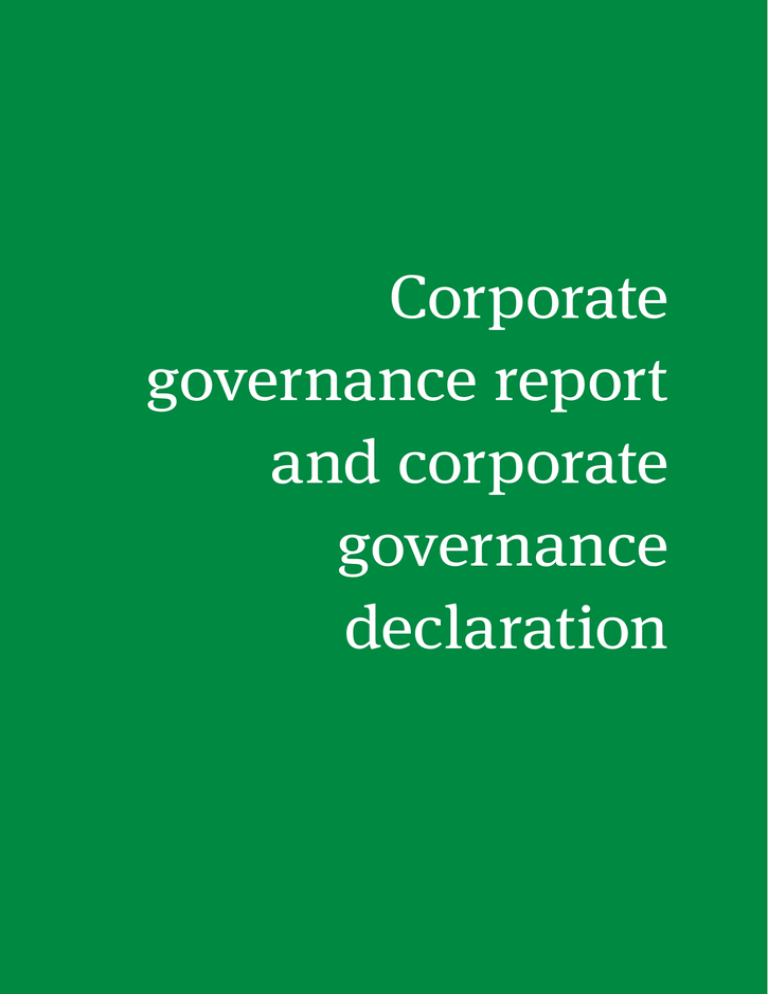corporate governance research report