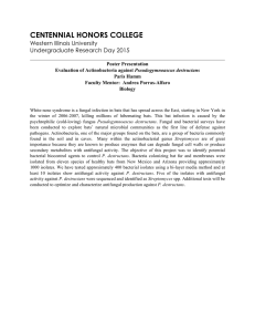 CENTENNIAL HONORS COLLEGE Western Illinois University Undergraduate Research Day 2015