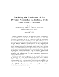 Modeling the Mechanics of the Division Apparatus in Bacterial Cells