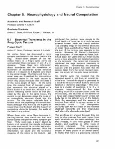 Chapter  5.  Neurophysiology  and  Neural  Computation 5.1 Electrical  Transients  in  the