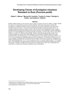 Eucalyptus cloeziana Puccinia psidii Rafael F. Alfenas, Camila S. Freitas,