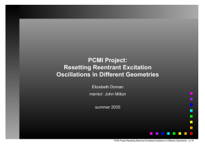 PCMI Project: Resetting Reentrant Excitation Oscillations in Different Geometries Elizabeth Doman
