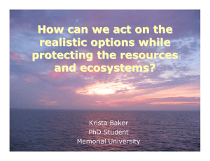 How can we act on the realistic options while protecting the resources