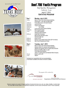Beef 706 Youth Program Beef Quality Management Lubbock, Texas July 6-7, 2015