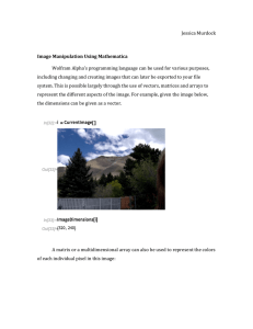 Document11359785 11359785