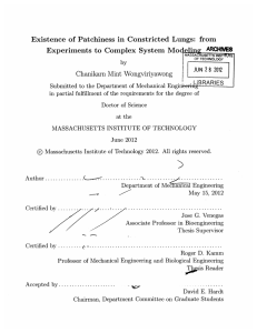 Existence  of  Patchiness  in  Constricted ... 'nj  ARCHIS from