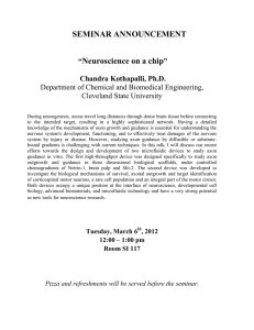 SEMINAR ANNOUNCEMENT Neuroscience on a chip  ”