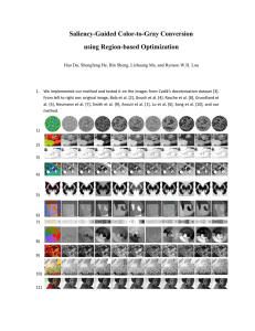 Saliency-Guided Color-to-Gray Conversion using Region-based Optimization