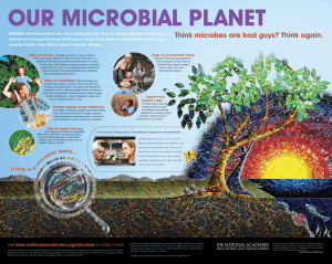 Our MicrObial Planet think microbes are bad guys? think again.