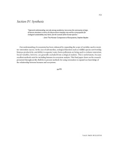 Section IV: Synthesis 