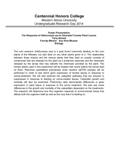 Centennial Honors College Western Illinois University Undergraduate Research Day 2014