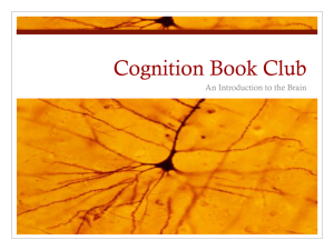 Cognition Book Club An Introduction to the Brain