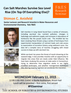 Shimon C. Anisfeld Can Salt Marshes Survive Sea Level  Rise (On Top Of Everything Else)?
